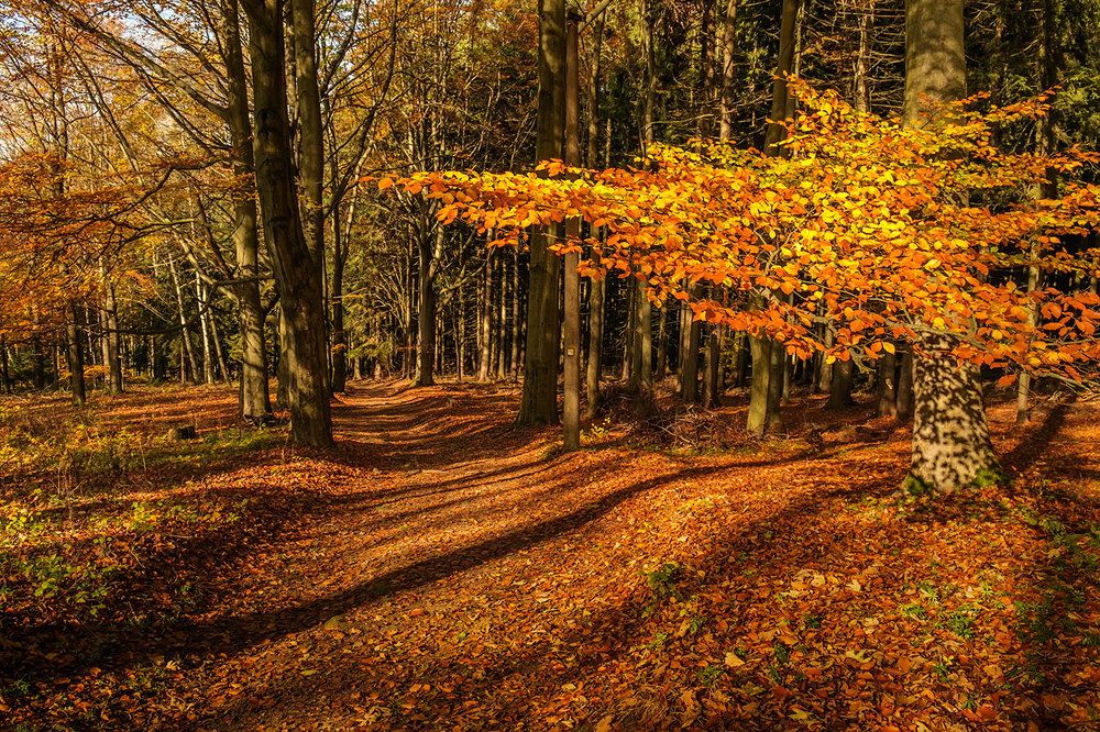 Photograph by Виктория Солодар