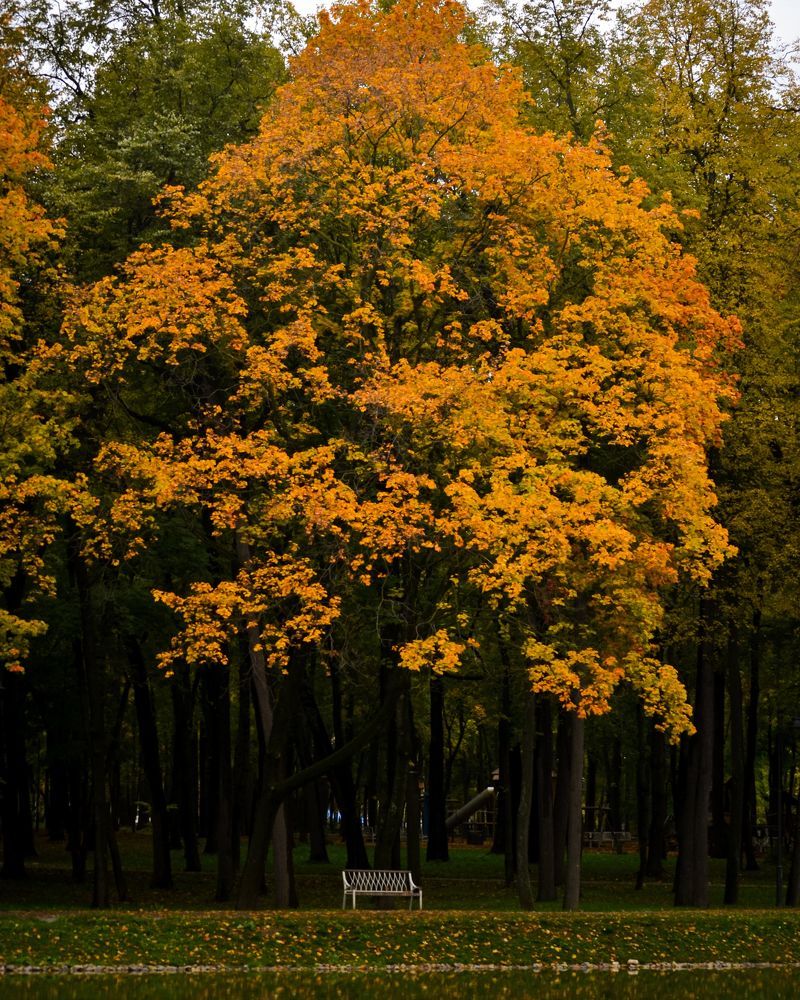 Photograph by Дарья Маркина