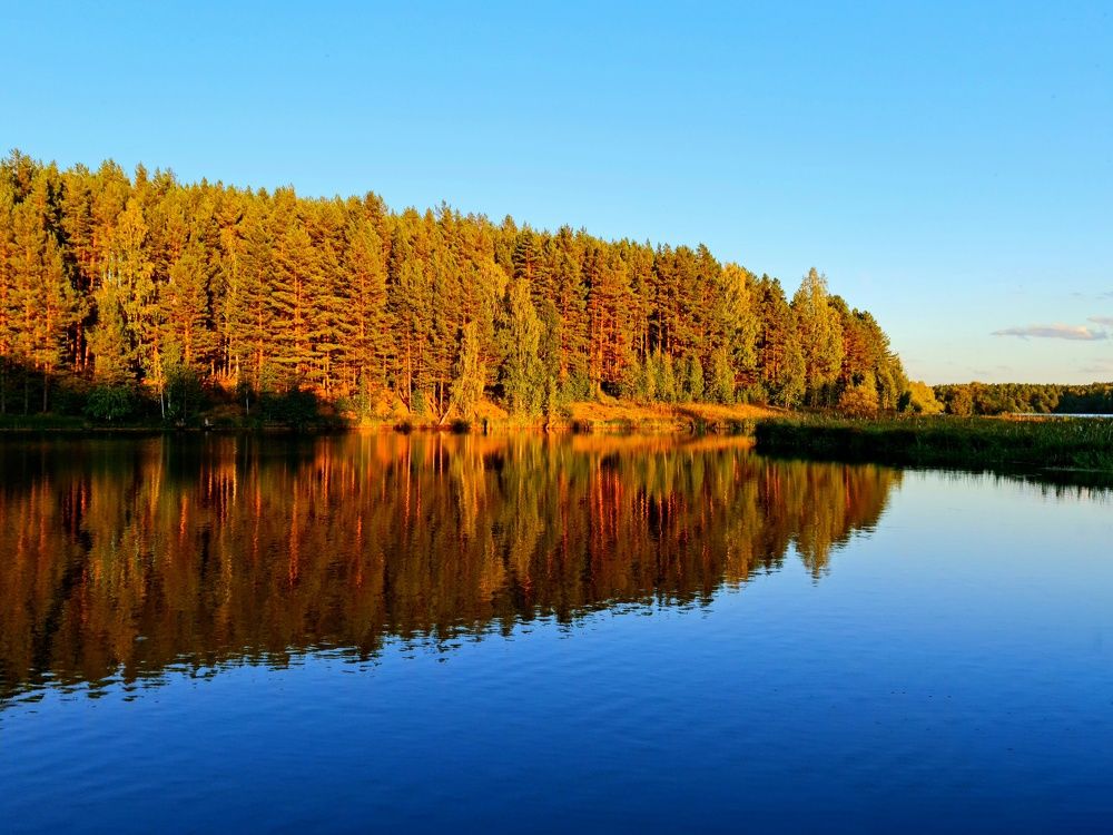 Photograph by Роман Сычев