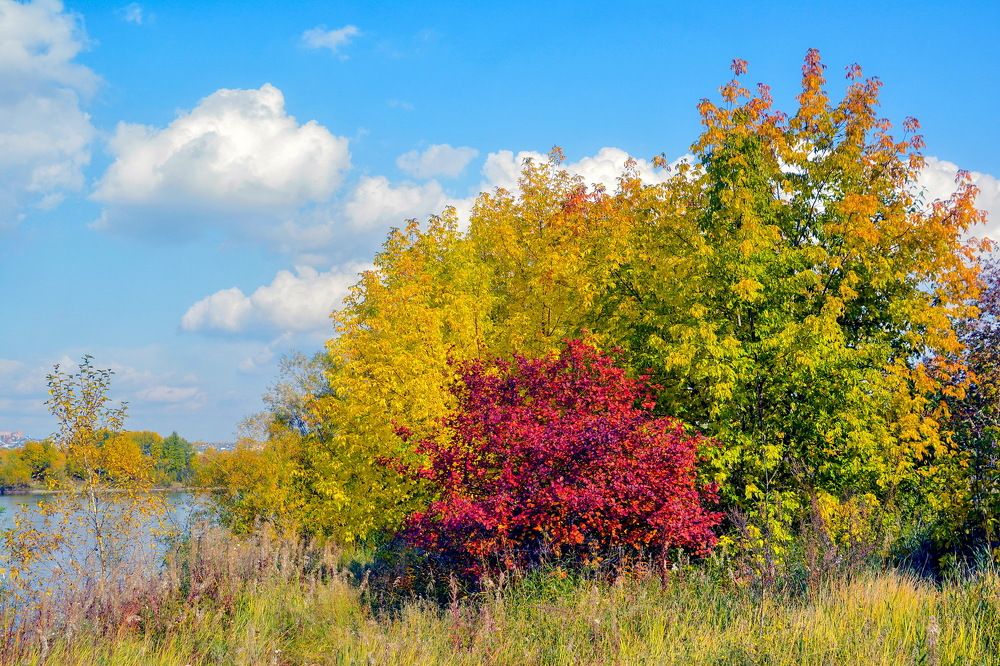 Photograph by Юрий Назыров