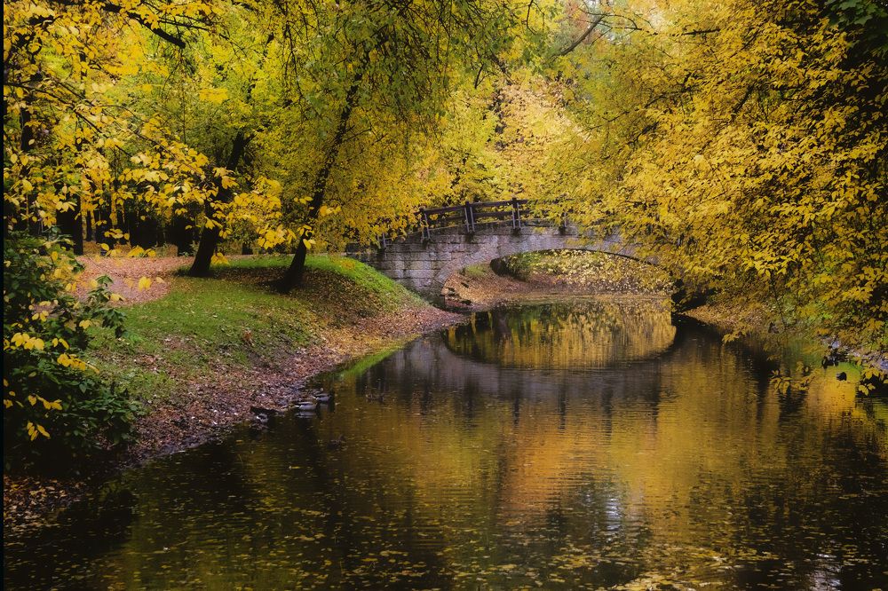 Photograph by Шутов Владимир