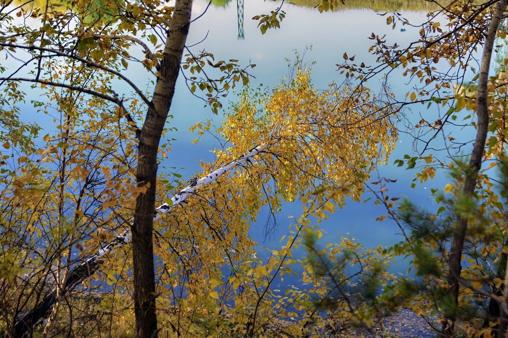 Photograph by Юрий Назыров