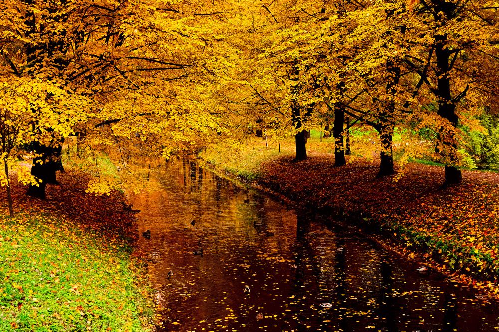 Photograph by Шутов Владимир