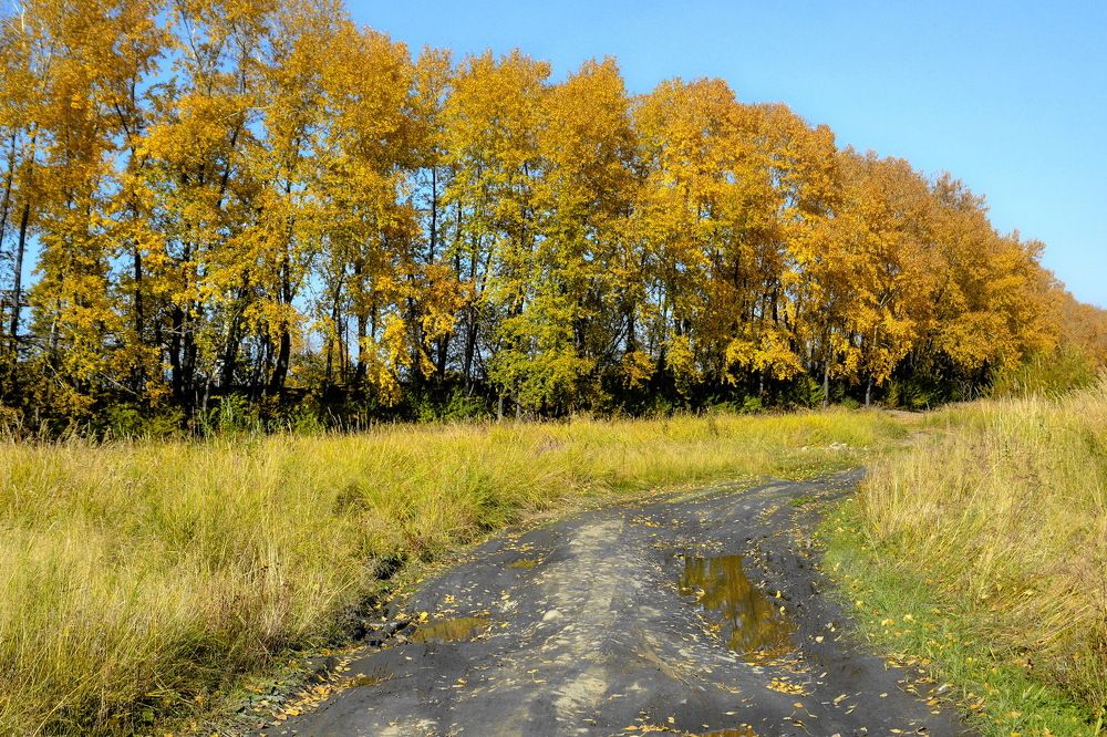 Photograph by Юрий Назыров