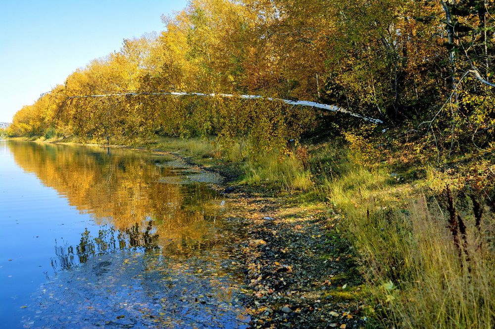 Photograph by Юрий Назыров