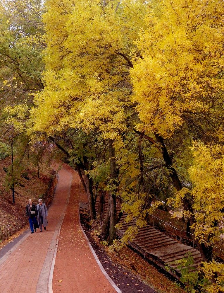 Photograph by Наталья Сазонова