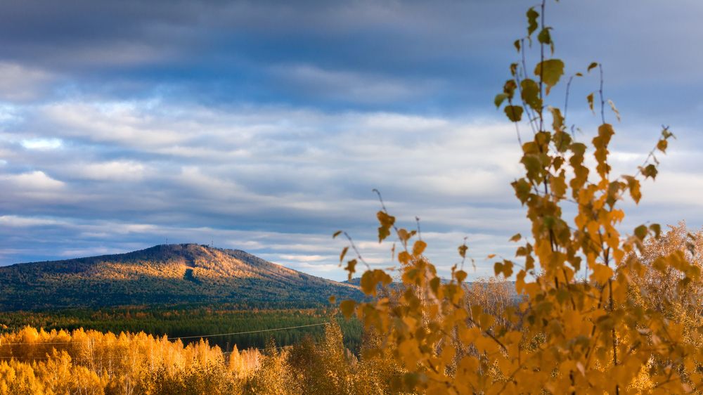 Photograph by Олег Бережных