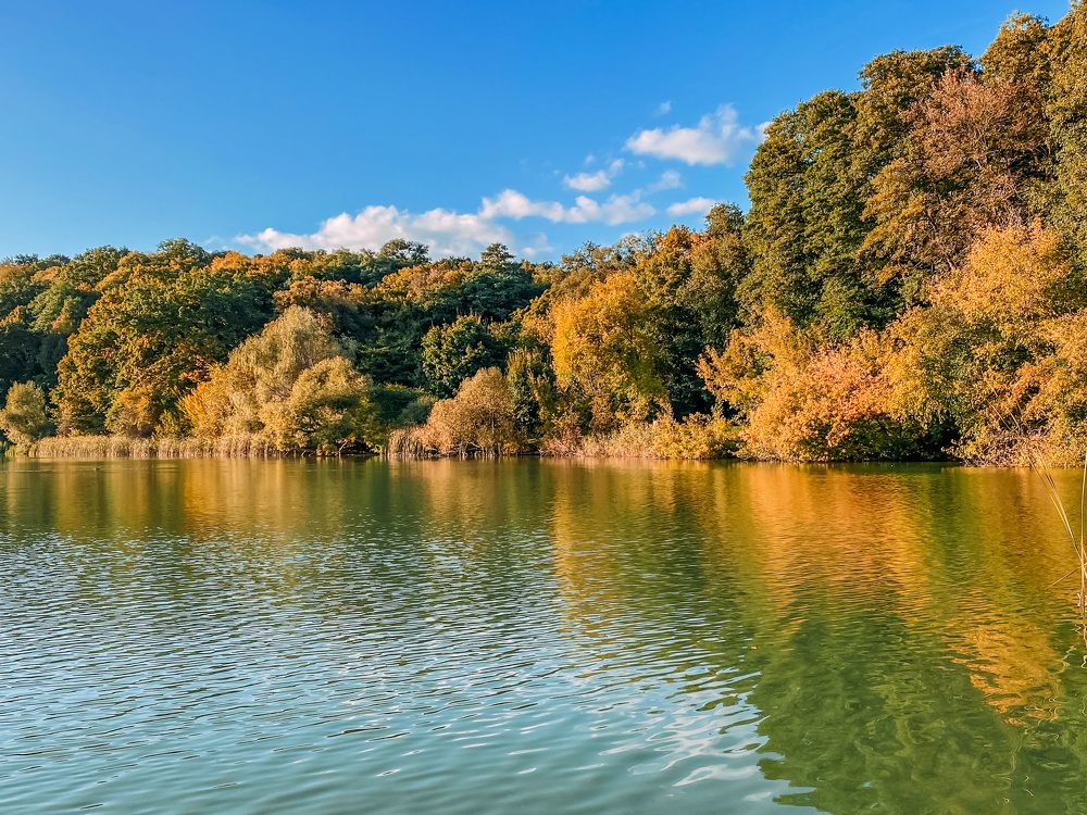 Photograph by Юлиана Шабовта