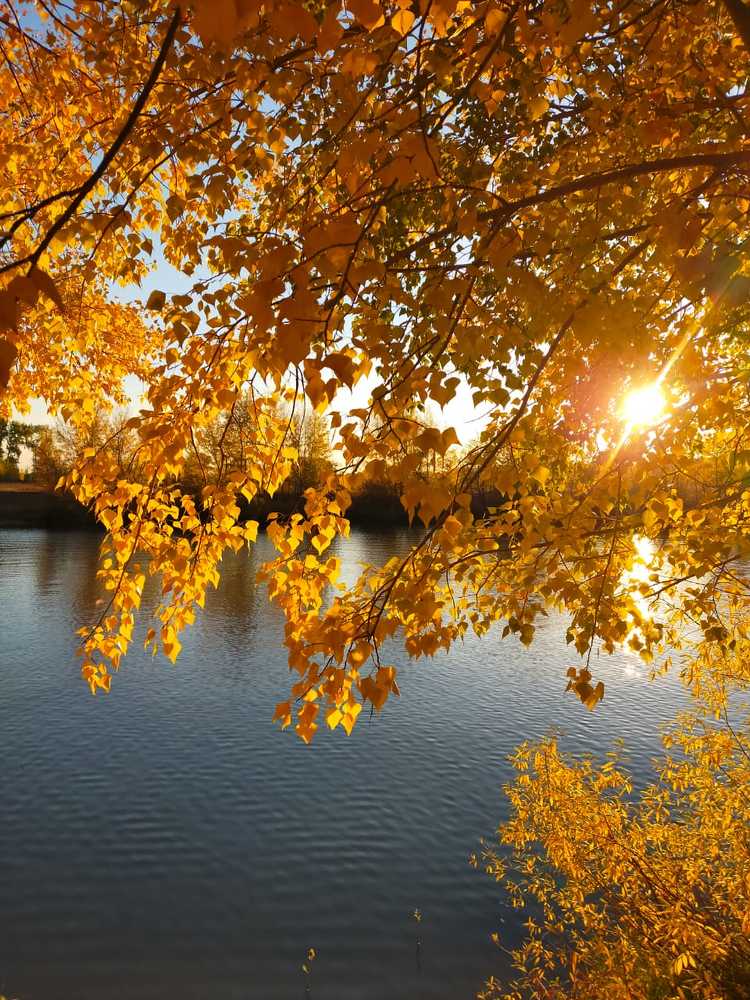 Photograph by Татьяна Герасименко