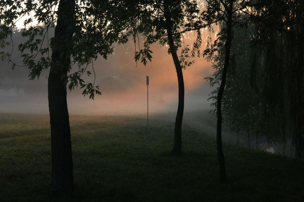 Первые солнечные лучи