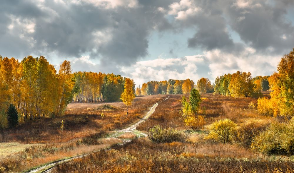 Дорога осени.