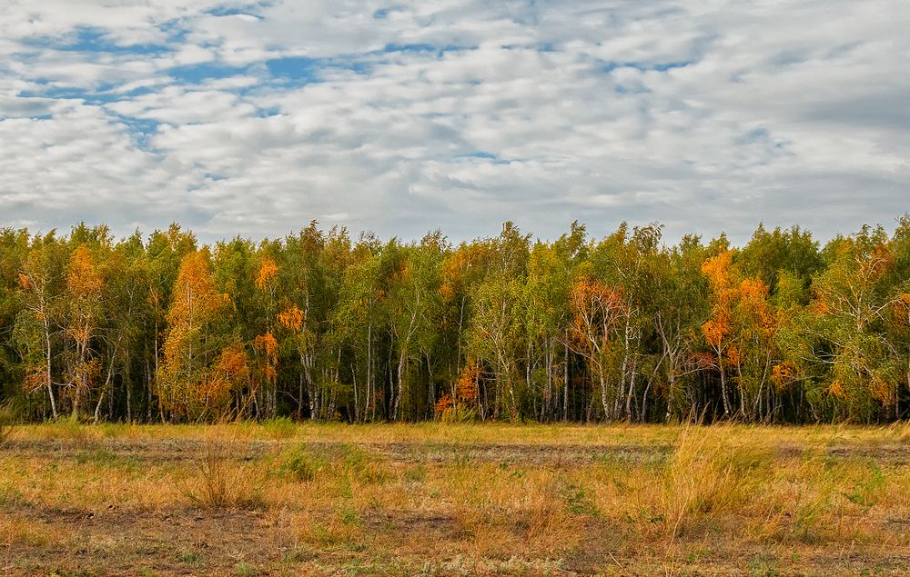 Photograph by Олег Белан