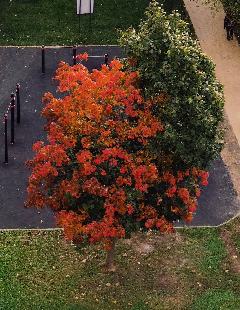 Photograph by Олика