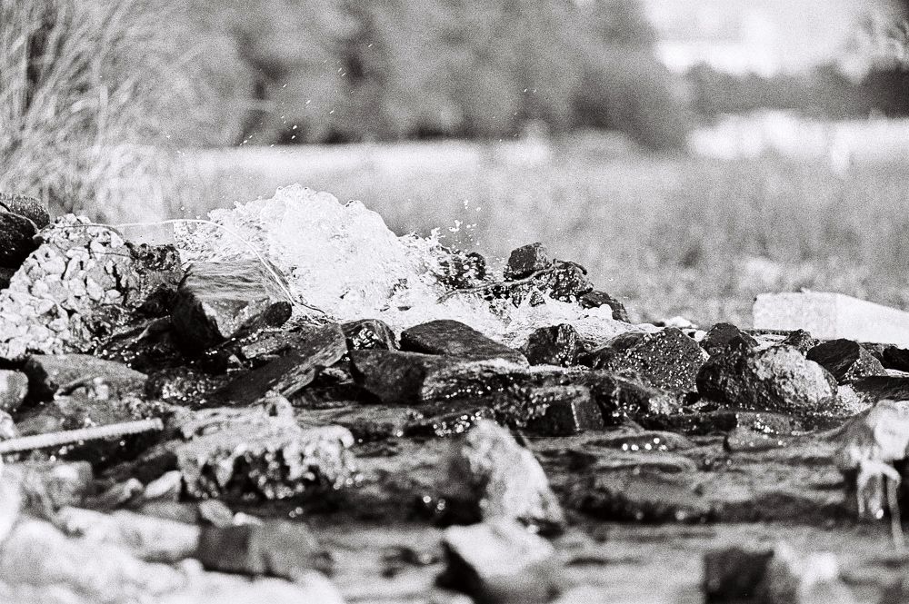 Photo #6540152