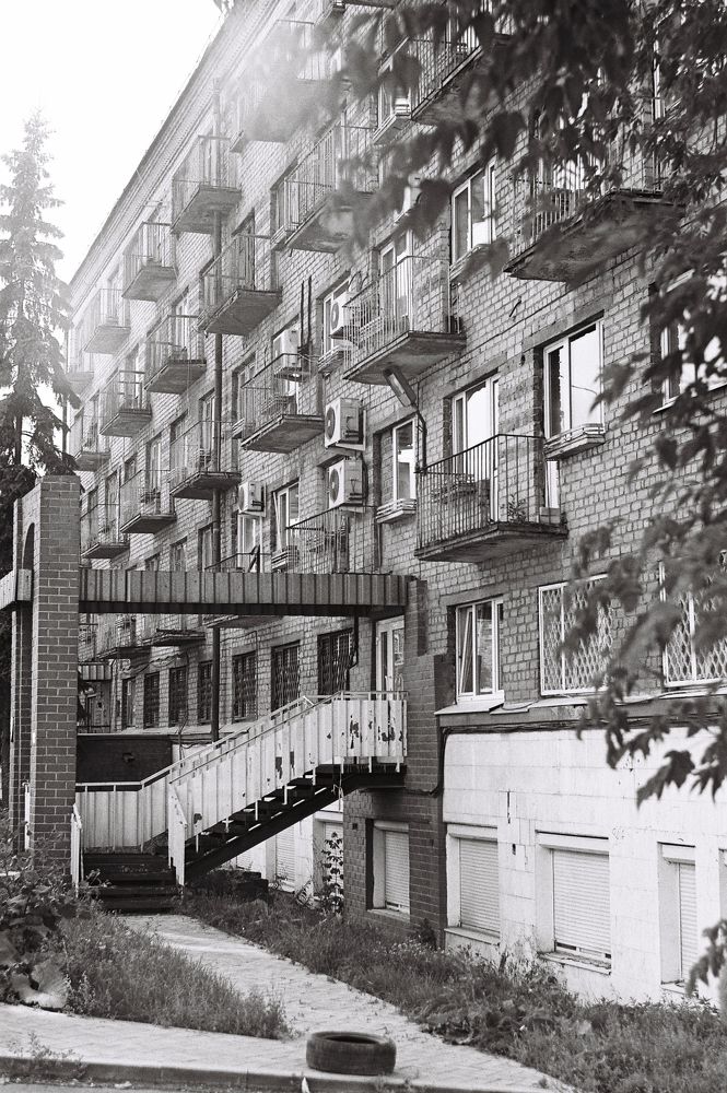 Photo #6540160