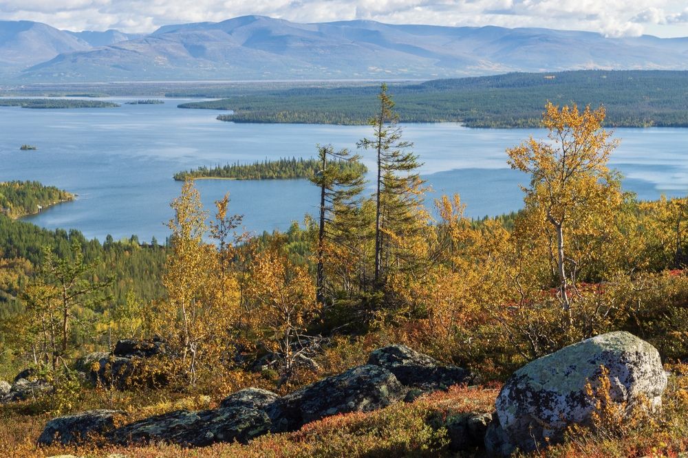 Photograph by Anna Levina