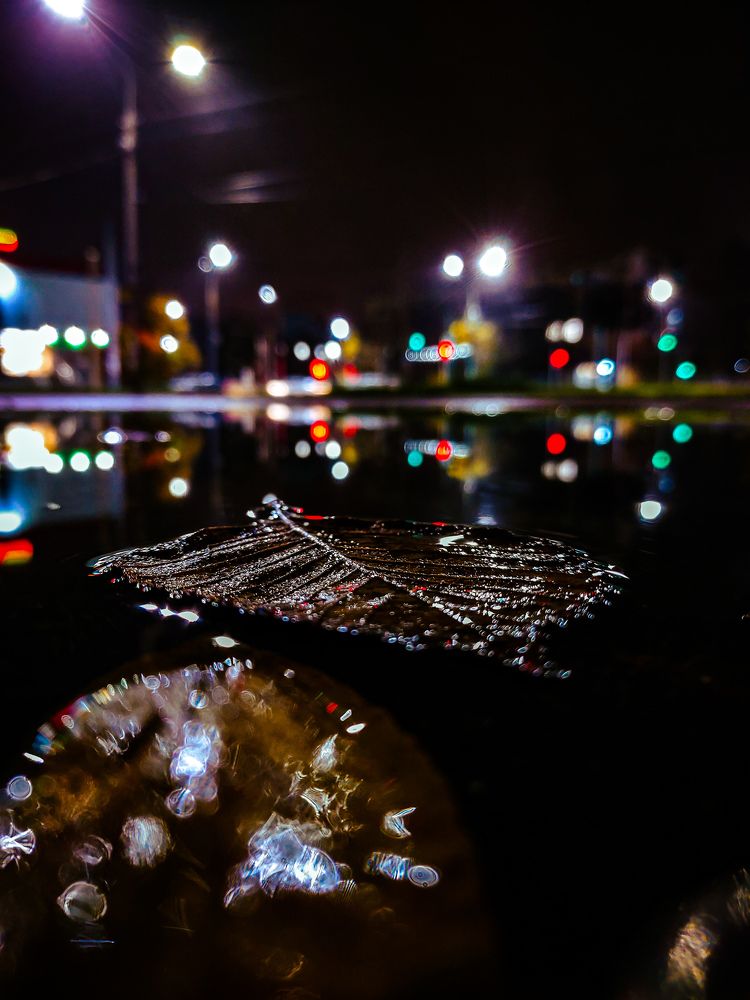 Photograph by Georgy Ivanov