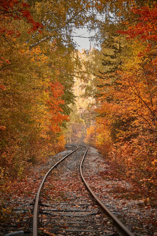 Photograph by Дмитрий Лепаков