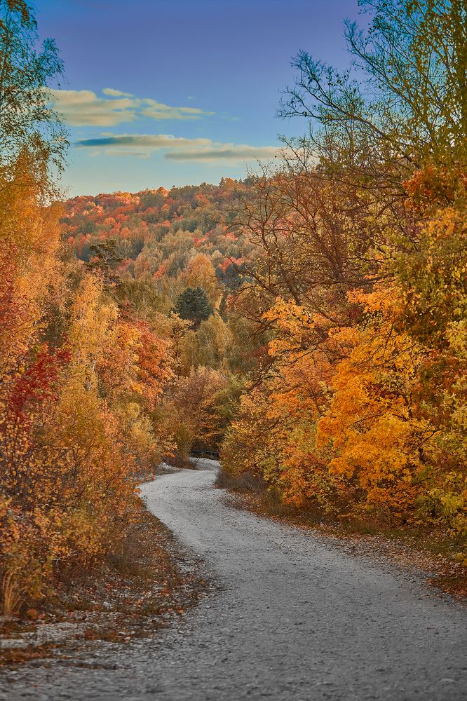 Photograph by Дмитрий Лепаков