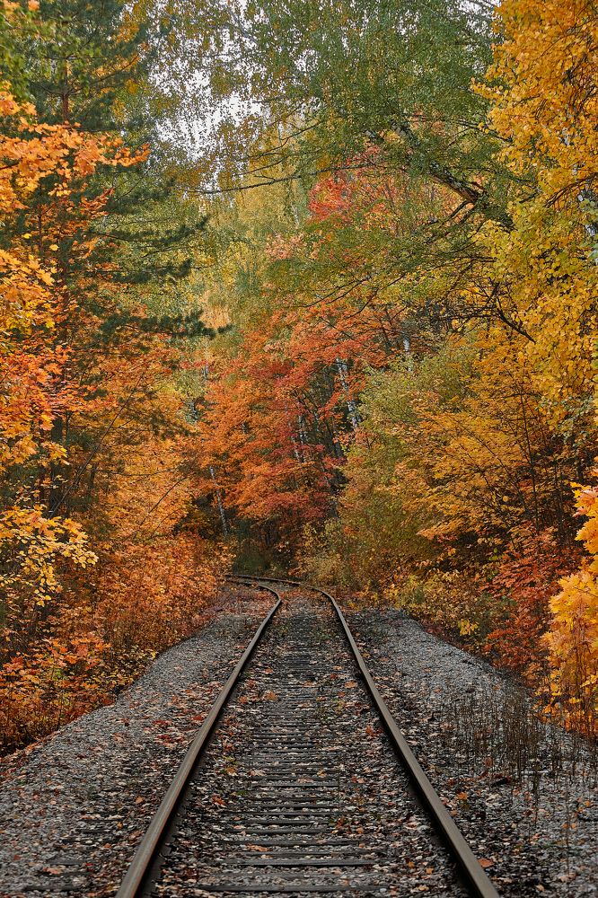 Photograph by Дмитрий Лепаков