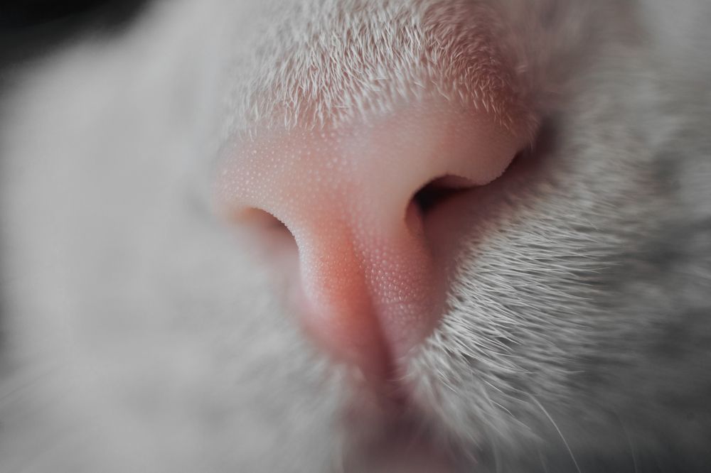 Photograph by Yuliya Khramova