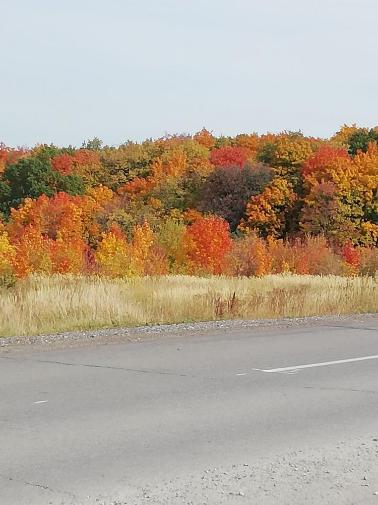 Photograph by Наталья Воронина