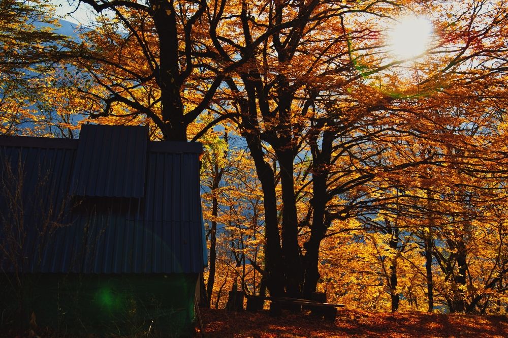 Photograph by Лана Агрба