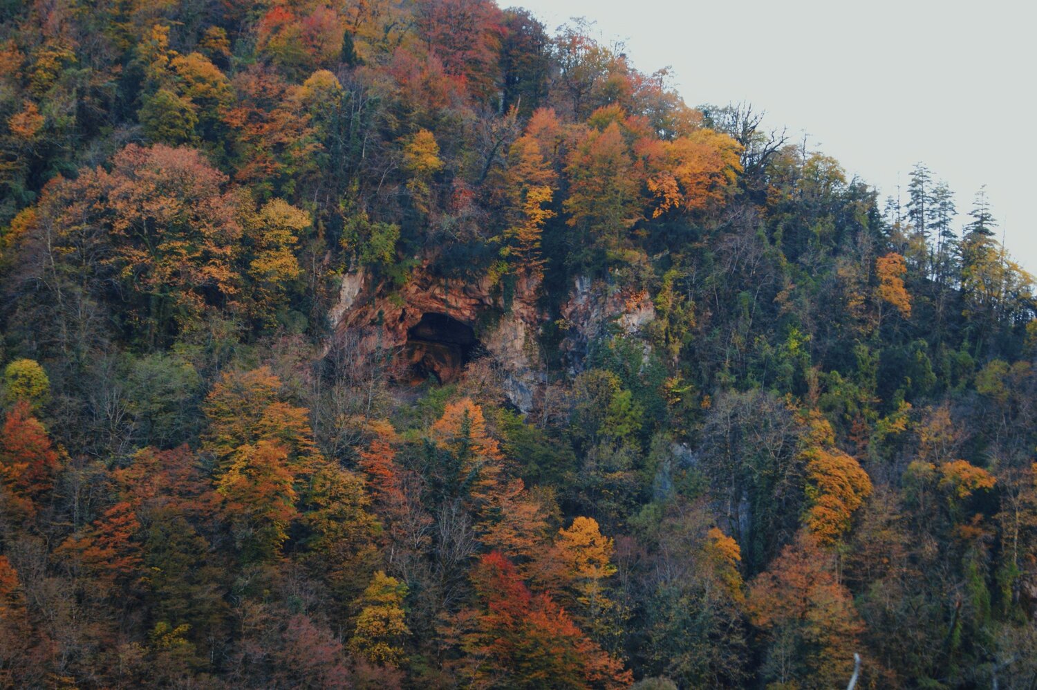 Photo #6540312