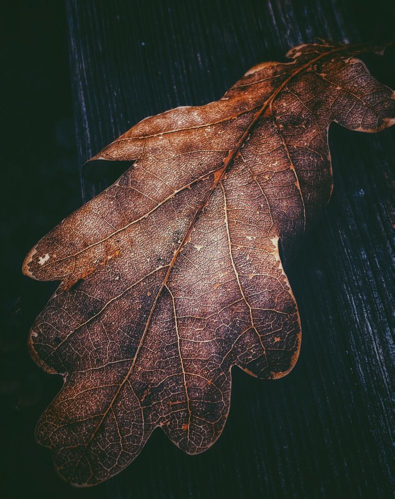 Photograph by Ольга Скиба