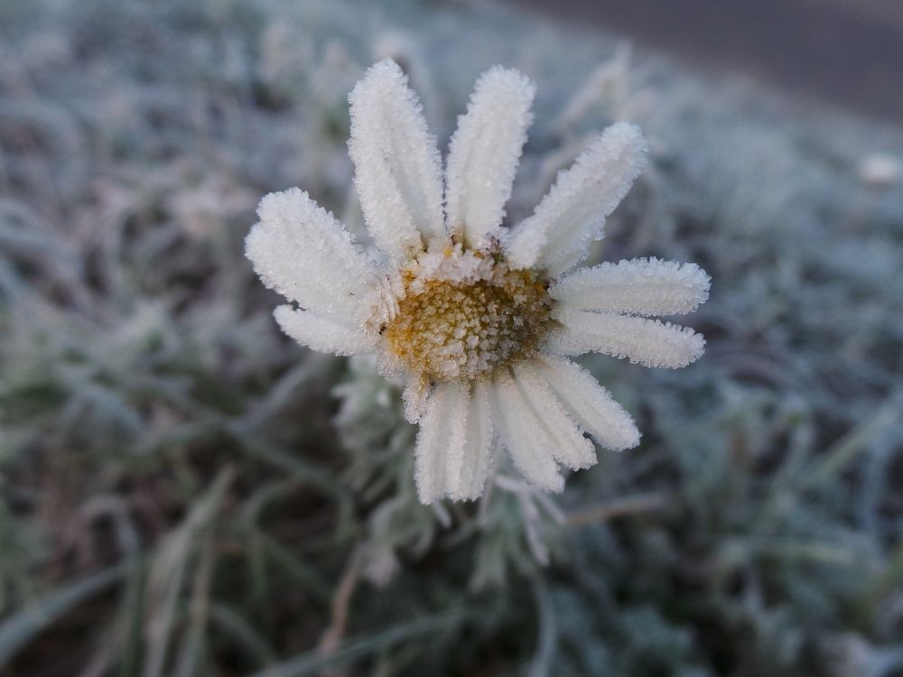 Photo #6540340