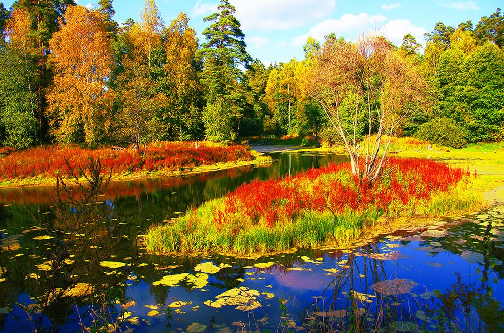 Неземные цаеты