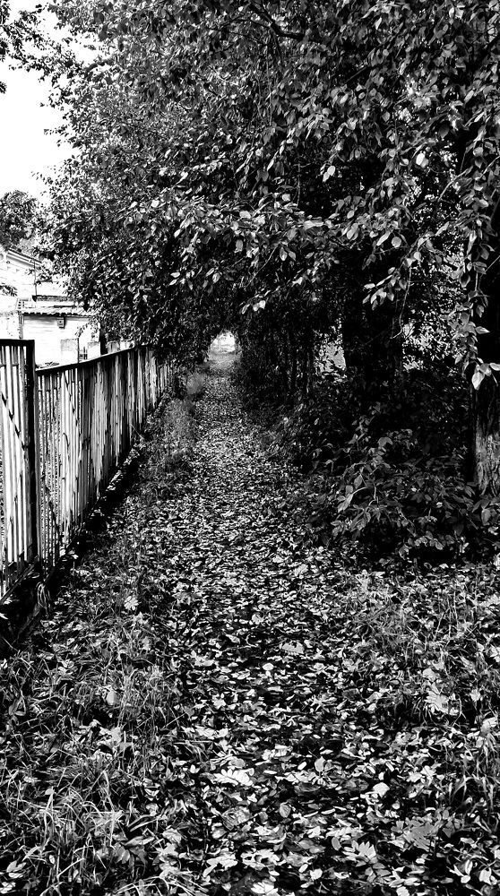 Photograph by Ирина Аверьянова