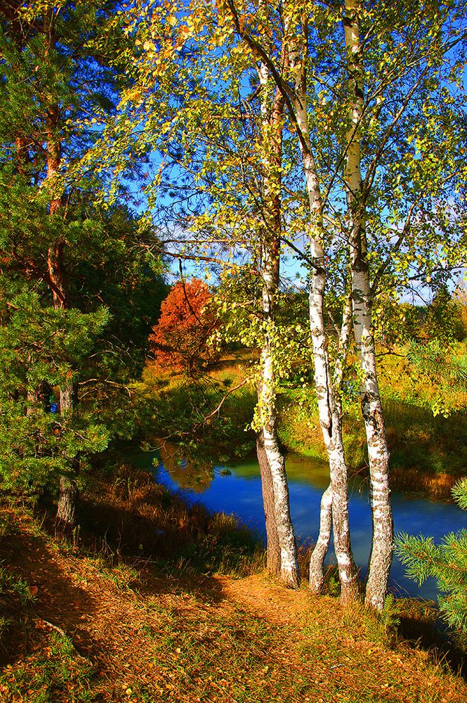 Осенния акварель