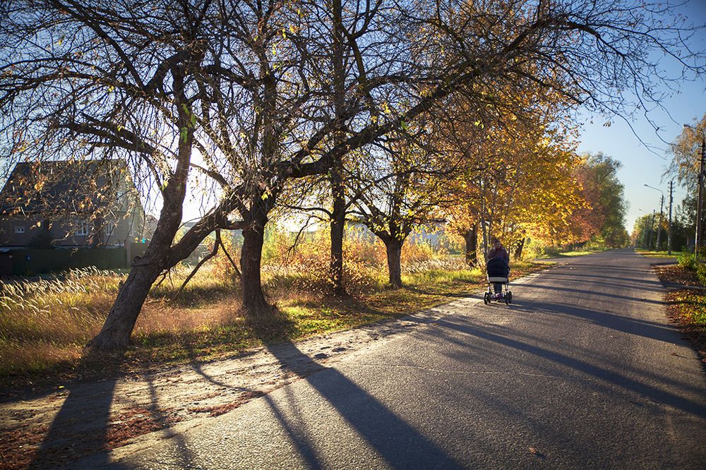 Осенние лучи и тени
