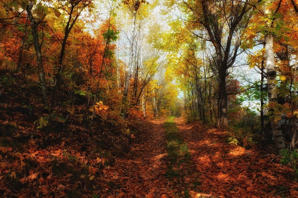 Photograph by Сергей Колесниченко