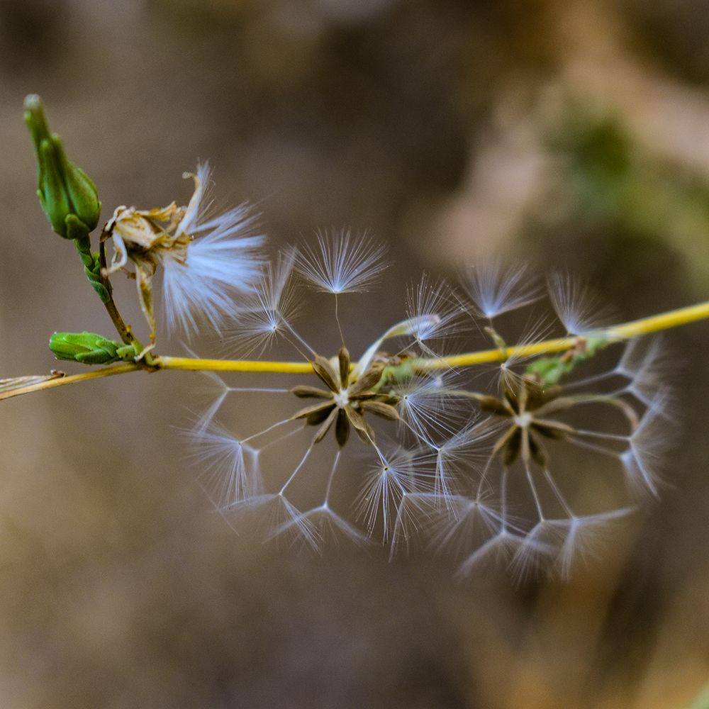 Photograph by Fatemeh Jamalian