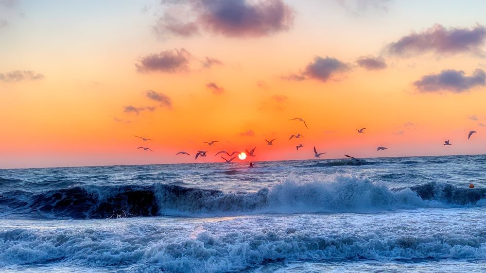 Мошки вокруг фонаря