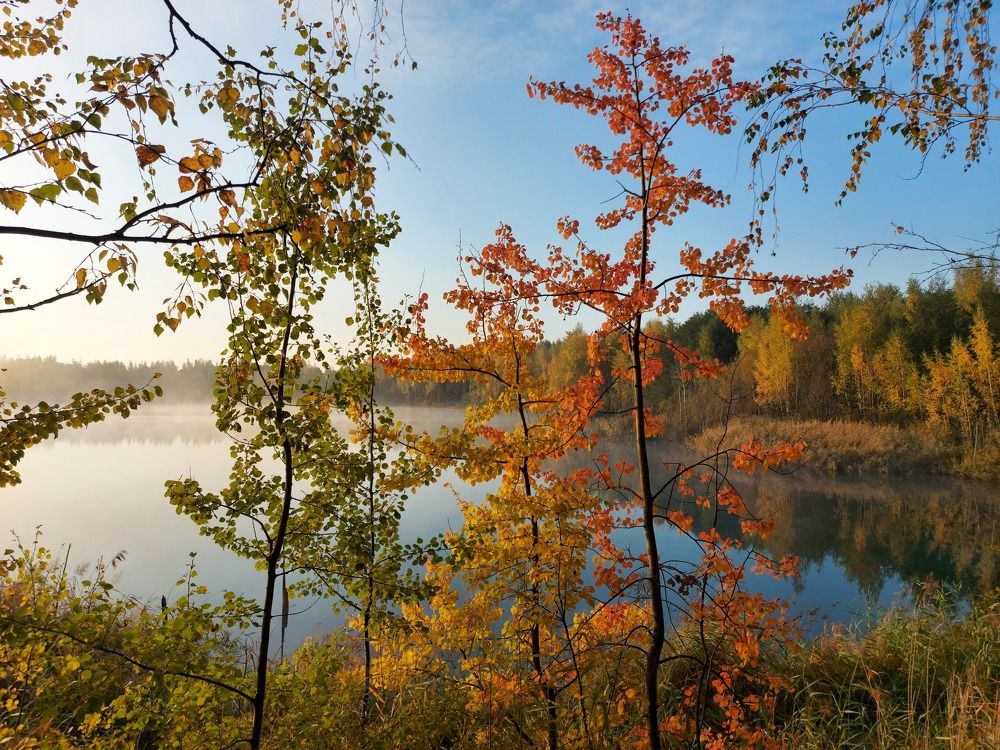 Photograph by Валерий Савостьянов