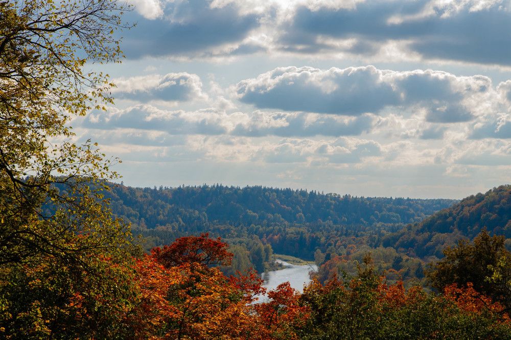 Photograph by Дима Захаров