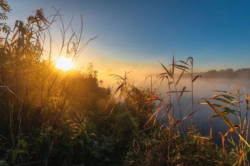 Photograph by SIARHEI RABCHONAK