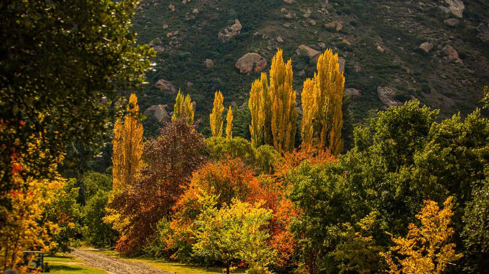 Photograph by Roelof Groesbeek