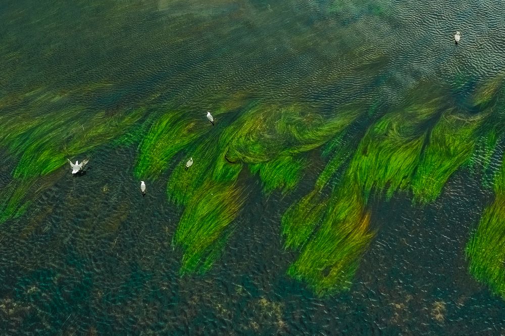 Фотография автора Евгения Кирпиченкова (Клипп)