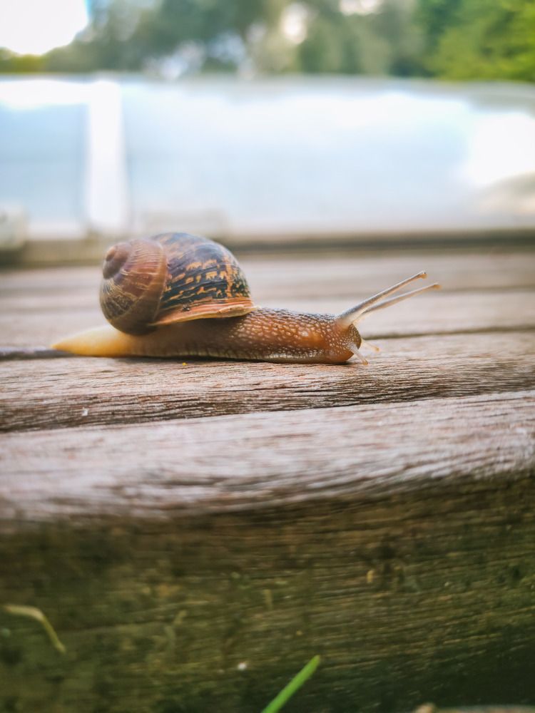 Photograph by Jear Cautivar