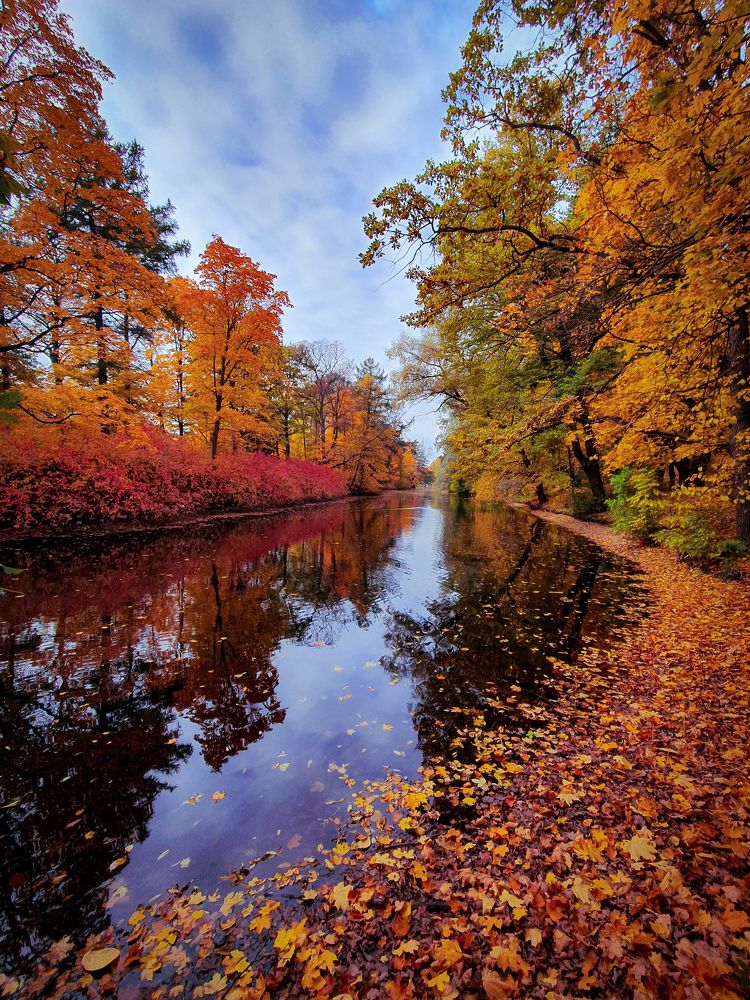 Волшебные краски осени.