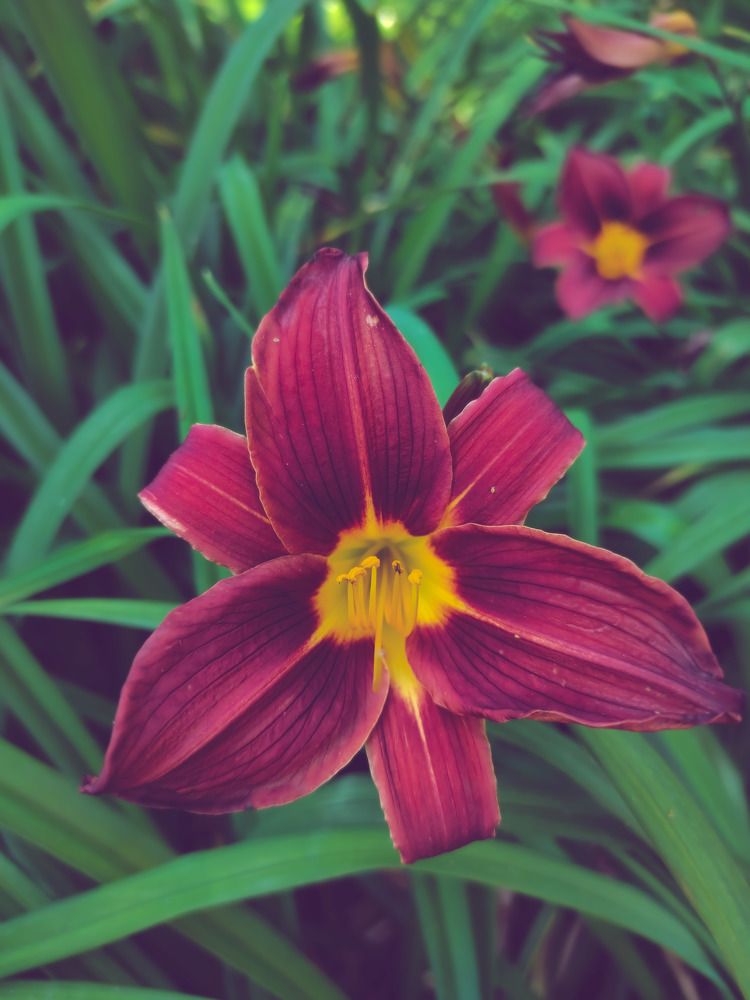 Photograph by Jear Cautivar