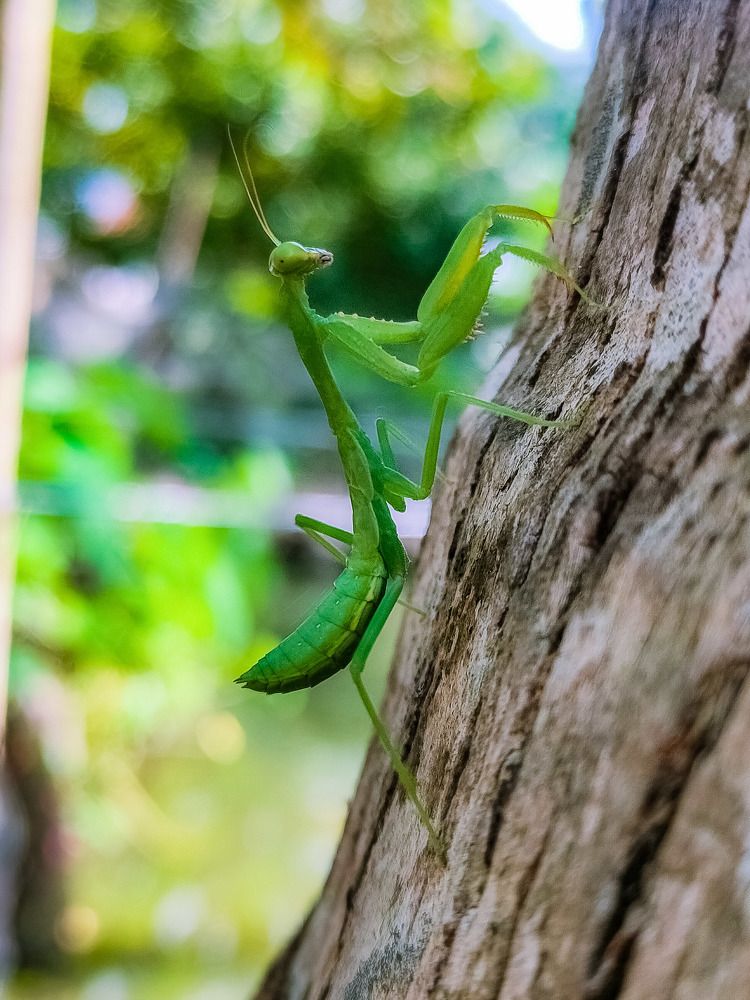 Photograph by Jear Cautivar