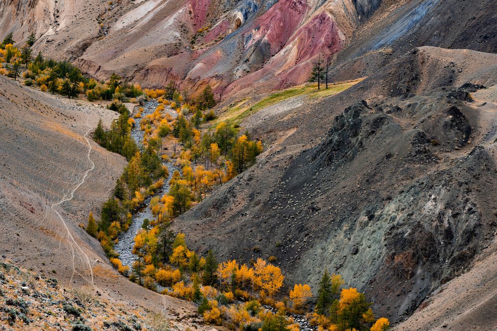 Photograph by Константин Щербаков