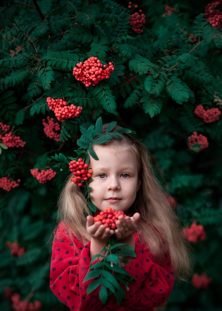 Краски осени