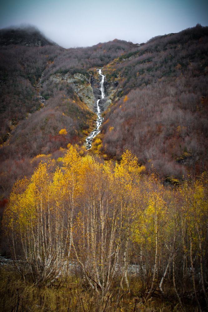 Фотография автора OXANA MARSOVA