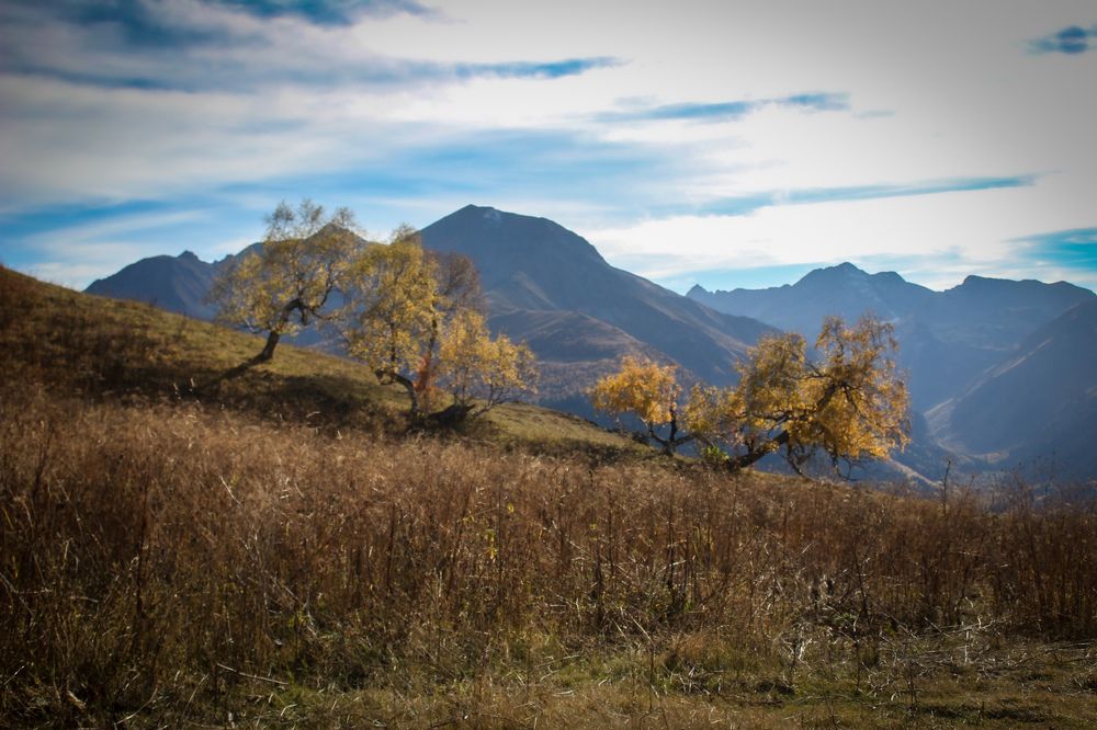 Фотография автора OXANA MARSOVA